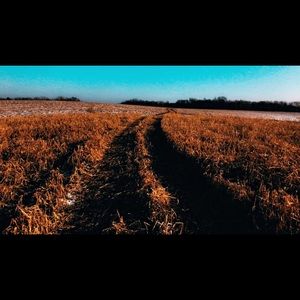 Meet your Posher, Daniela